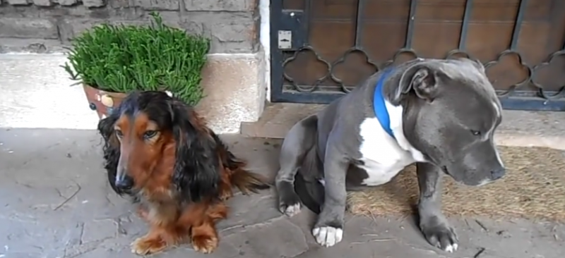 Ki ette meg a cipőket?